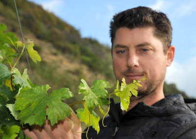 Winzer_Gritsch_Weingarten_Arbeit_Wachau_vinea_Topwinzer