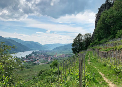 Wachau Welterbesteig wandern Weißenkirchen