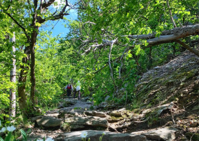 Welterbesteig Wachau Dürnstein wandern