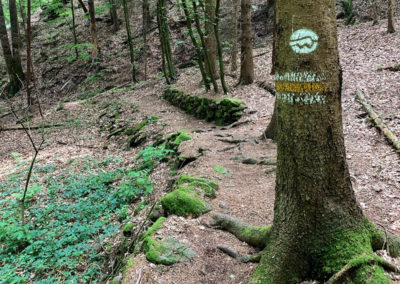 Welterbesteig Wachau wandern