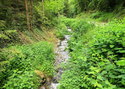 Welterbesteig_Wandern_Wachau