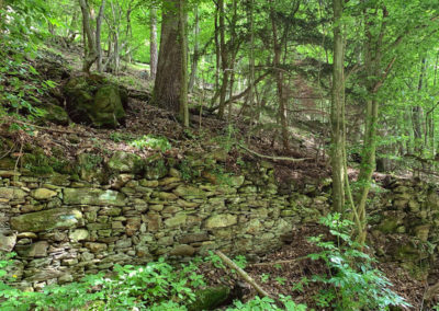 Weltkulturerbe_Wachau_Wandern