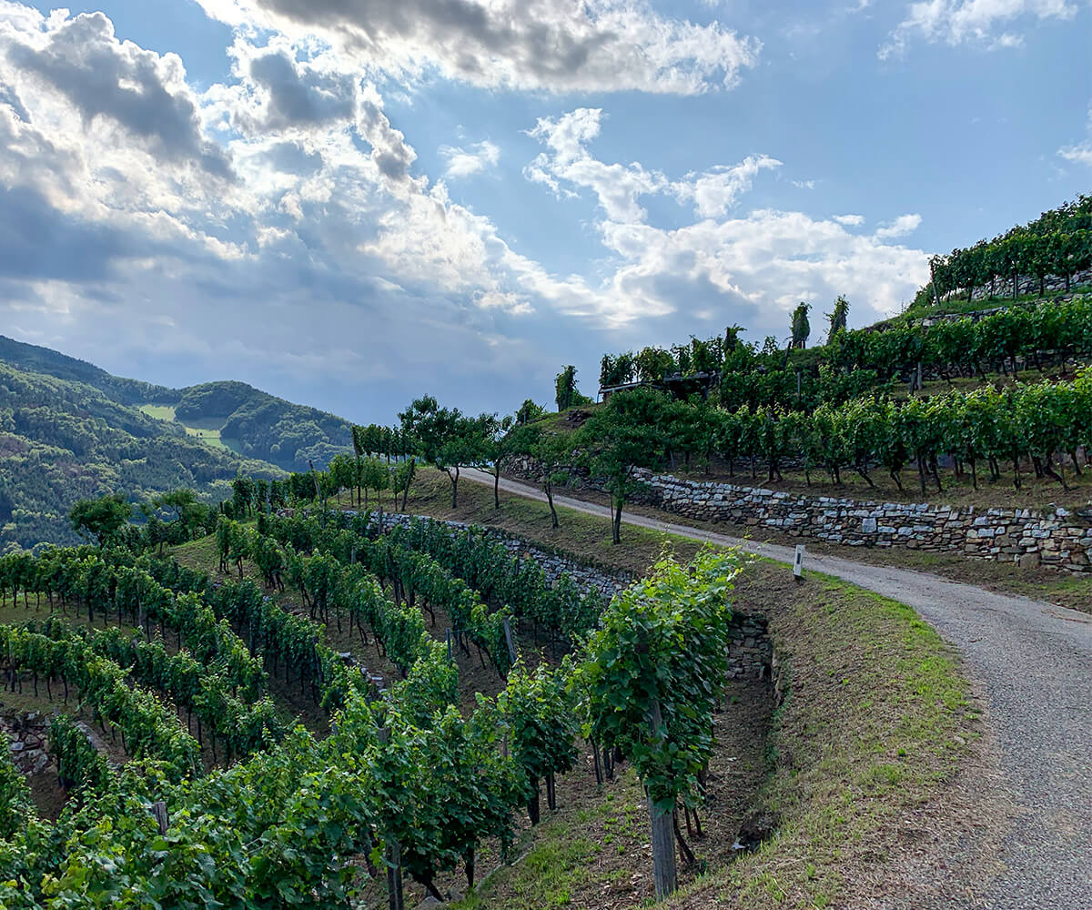 Wanderweg_Wachau