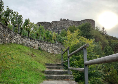 ruine_hinterhaus_wachau_spitz