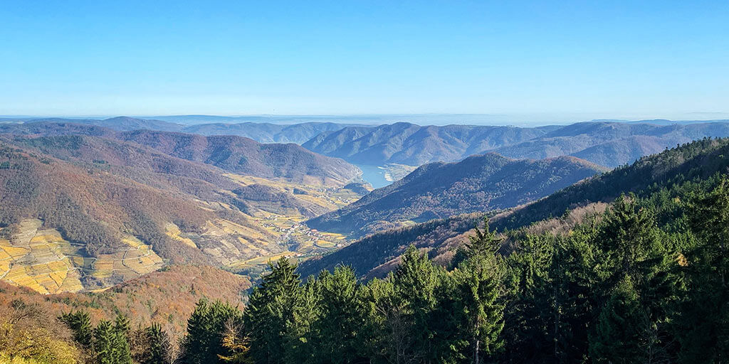 Wachau Welterbesteig Wandern Jauerling