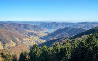 Wandern am Welterbesteig Mühldorf-Maria Laach