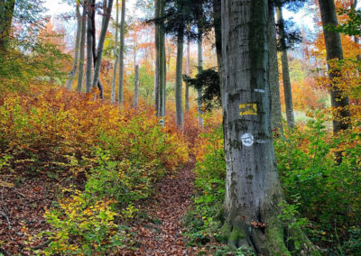 welterbesteig wachau mühldorf wandern herbst