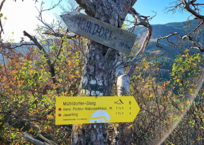 welterbesteig wachau trenning wandern