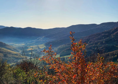 welterbesteig wachau trenning mühldorf