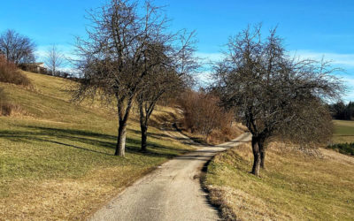 Wandern am Welterbesteig Maria Laach-Aggsbach Markt