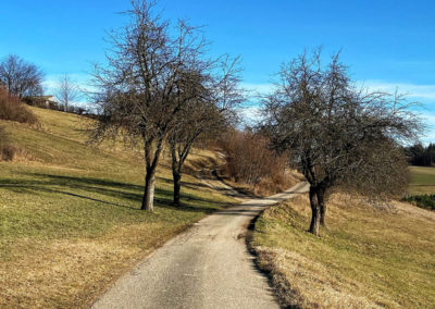 welterbesteig wachau wandern