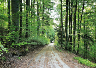 Buchbergrundweg_wandern_Spitz_Wachau