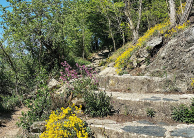 Dürnstein Wachau Empfehlung Eselsteig