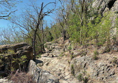 Dürnstein Wachau Empfehlung Ruinenweg