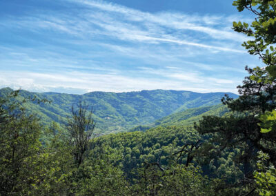 Spitzer-Graben_Wachau_Ausblick