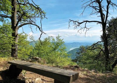 Wandern_Spitz_Wachau_Ausblick