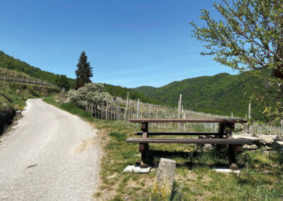 wandern_Wachau_Spitz