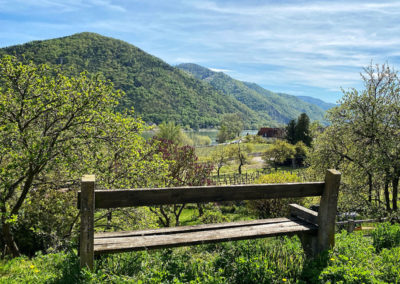 wandern_weissenkirchen_achleiten_wachau_bankerl