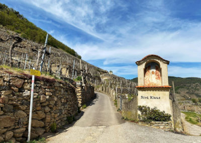 wandern_weissenkirchen_achleiten_wachau_ried-klaus