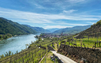 Wandern am Panoramaweg Achleiten Weißenkirchen