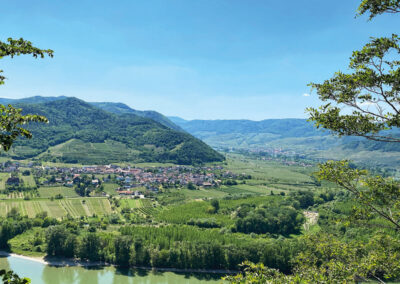 Ausblick_Wachau_Dürnstein_Wandern