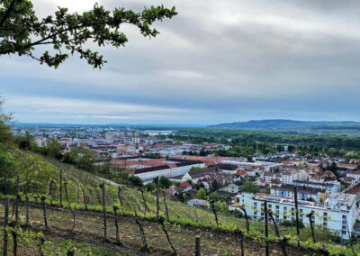 Ausblick-auf-Krems-Stein