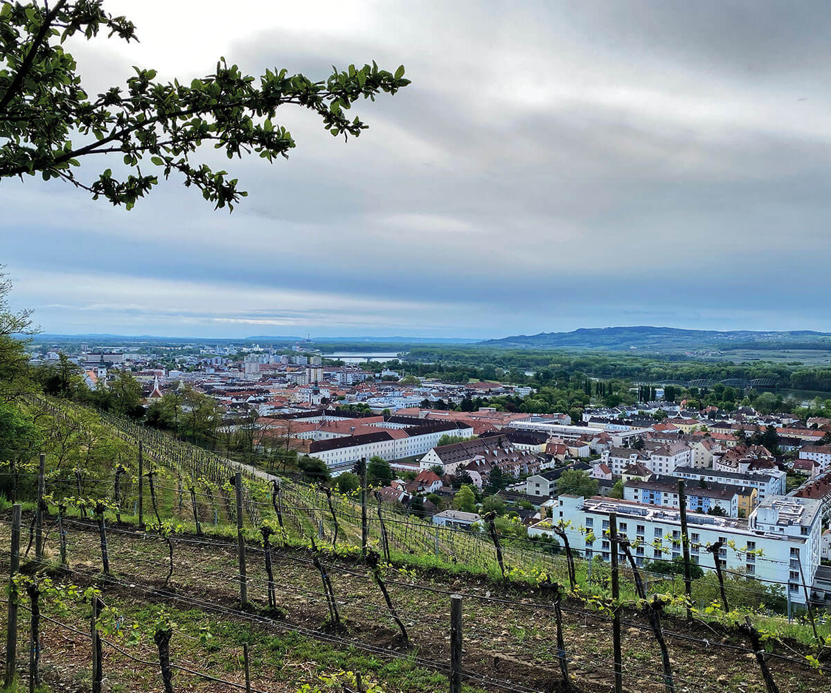 Ausblick-auf-Krems-Stein