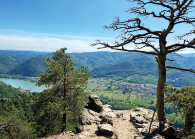 Ausblick_Kanzel_Dürnstein_Wachau_Wandern