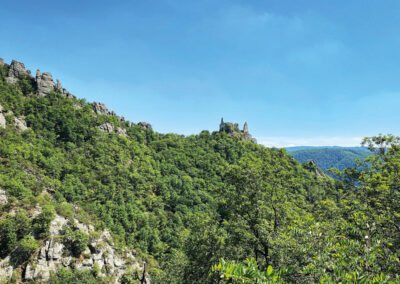 Ruine_Dürnstein_Wachau