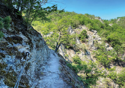 Vogelbergsteig_Dürnstein_Wachau