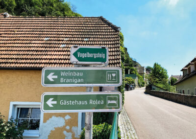 Wachau_Wandern_Vogelbergsteig