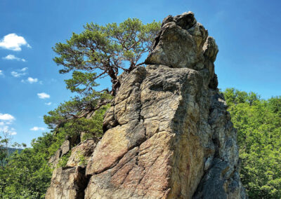 Wandern_Wachau_Dürnstein