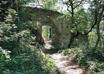 Wandern_Wachau_Ruine_Dürnstein