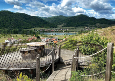 Weinbergschnecke_Dürnstein