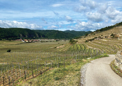 Welterbesteig-von-Krems-nach-Dürnstein