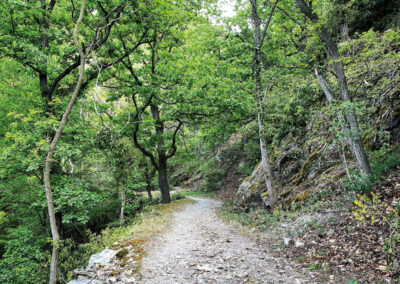 Welterbesteig_Wachau_Krems-Dürnstein