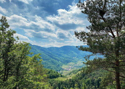 ausblick_spitz_wachau