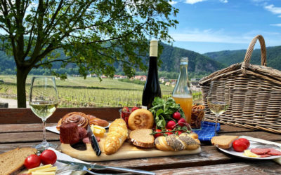 Picknick in der Wachau