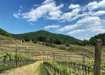 wachau_wandern_rotes-tor