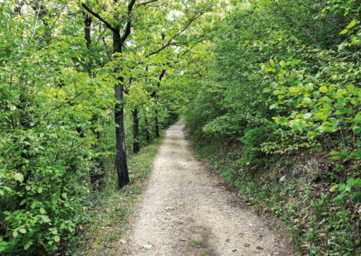 wandern_Weltererbesteig_Wachau