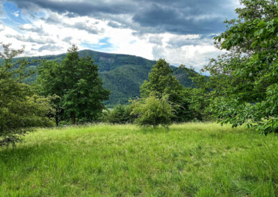 trockenrasen_michaelaberg_wachau_wandern