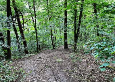 wandern_wachau_rundweg_sankt-michael