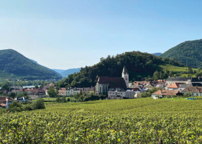 ausblick_spitz_wachau