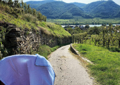 wandern_weingeistweg_wachau