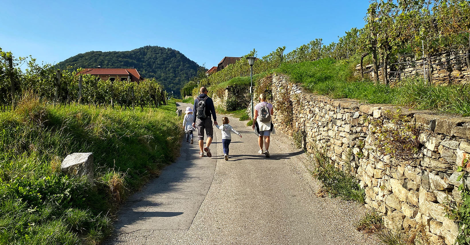 weingeistrunde_wandern_spitz_wachau