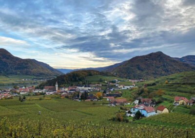 ausblick_spitz_wachau