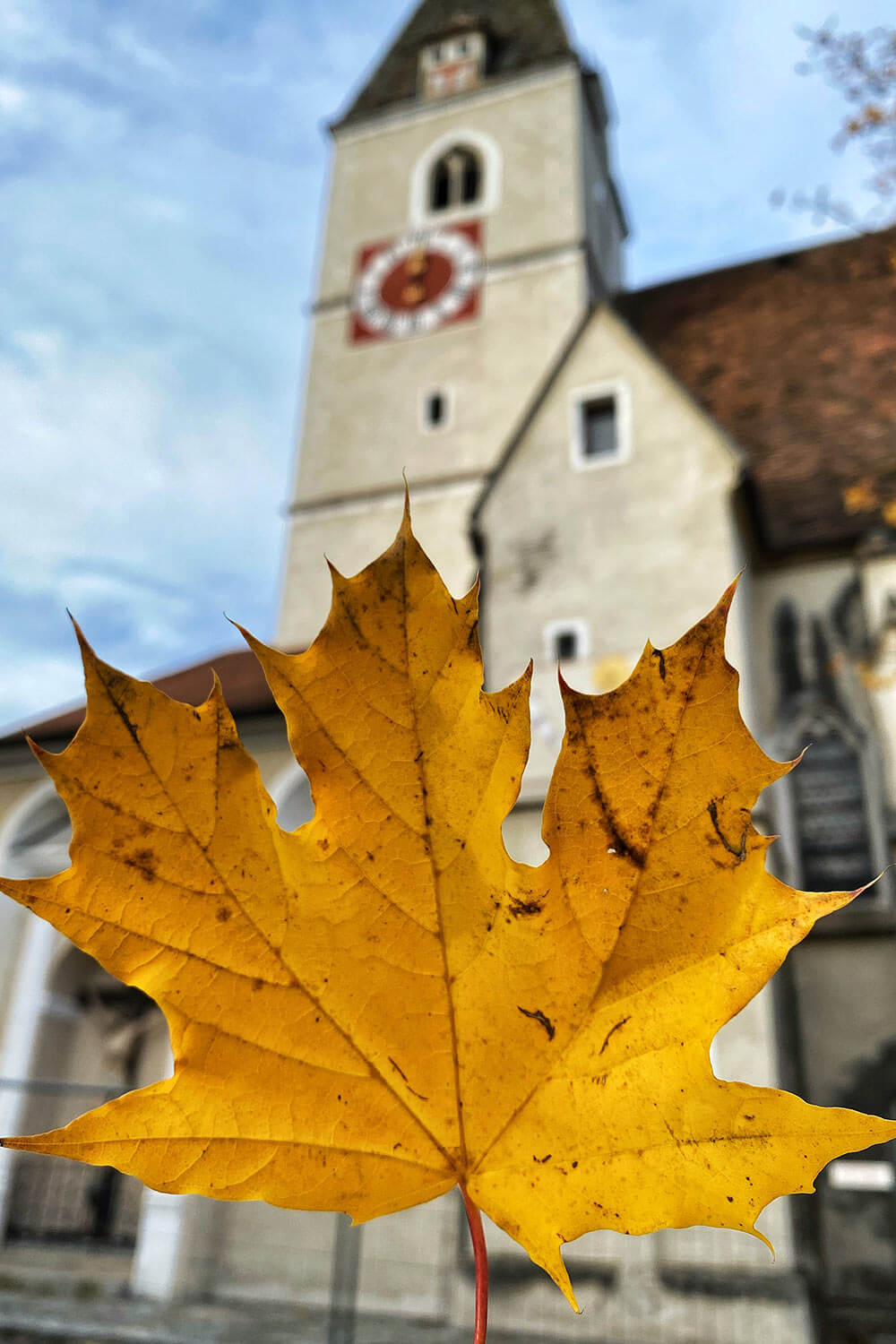 kirchenplatz_spitz_wachau