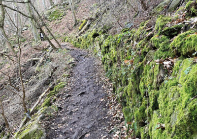 waldweg_wachau_seekopf