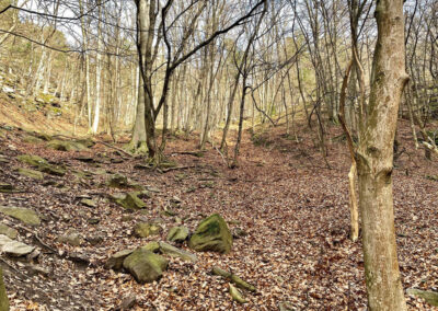 wandern_seekopf_wachau