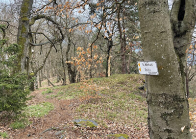 gruberwarte_wandern_wachau